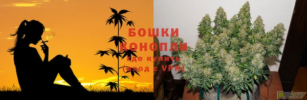 дмт Верея