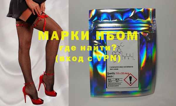 дмт Верея